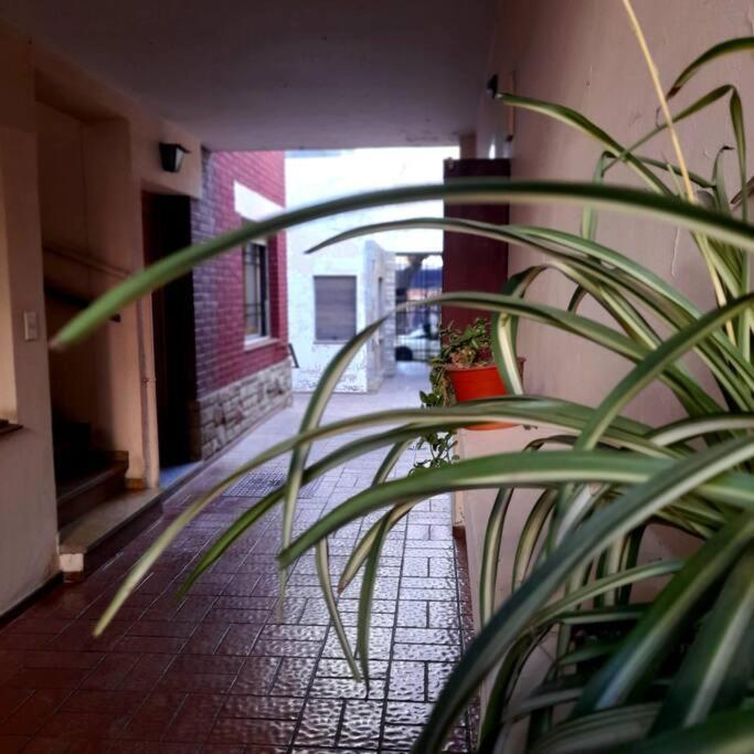 ¨Las Mayólicas¨ Hermoso Depto con patio español Mendoza Exterior foto